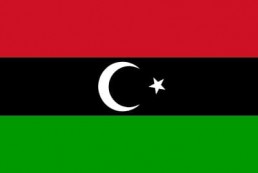 利比亚 - 电子货物跟踪单(Libya - ECTN/BESC)