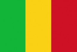 马里 - 电子货物跟踪单(République du Mali - ECTN/BESC)