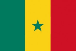 塞内加尔 - 电子货物跟踪单(The Republic of Senegal - ECTN/BESC)