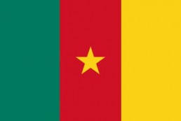 喀麦隆 - 电子货物跟踪单(Cameroon - ECTN/BESC)