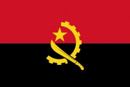 安哥拉 - 电子货物跟踪单(República de Angola - CNCA)