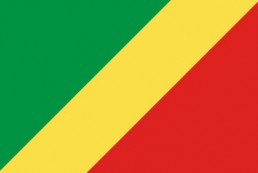 刚果布 - 电子货物跟踪单(The Republic of Congo - ECTN/URN)