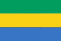 加蓬 - 电子货物跟踪单(Gabon - BIETC/BIC/CTN)